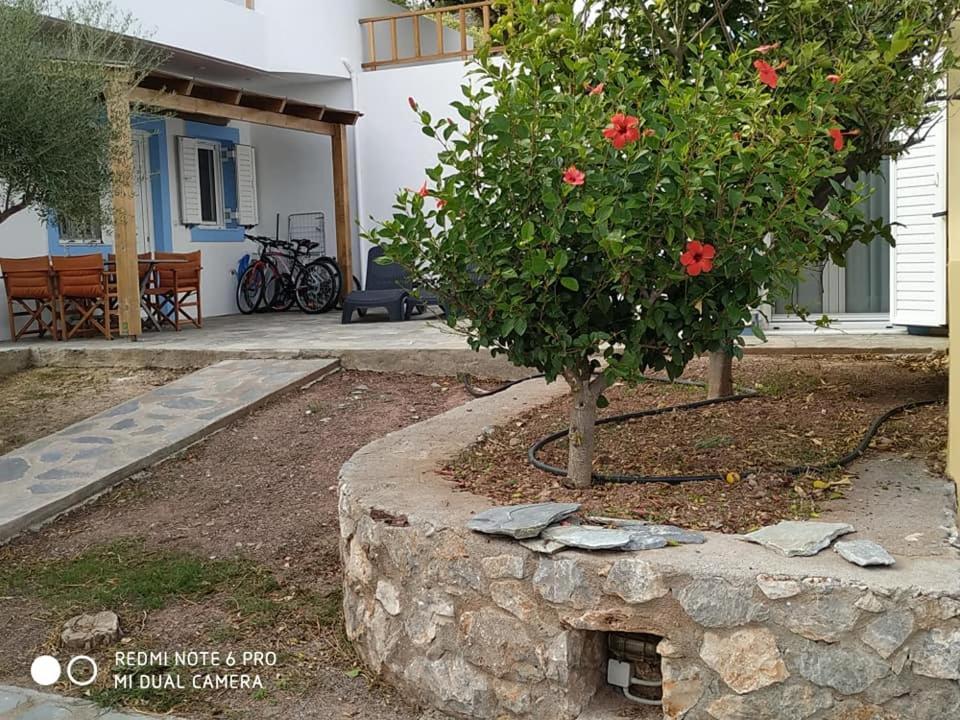 Alkioni Sea View Apartment Káto Zákros Exterior foto