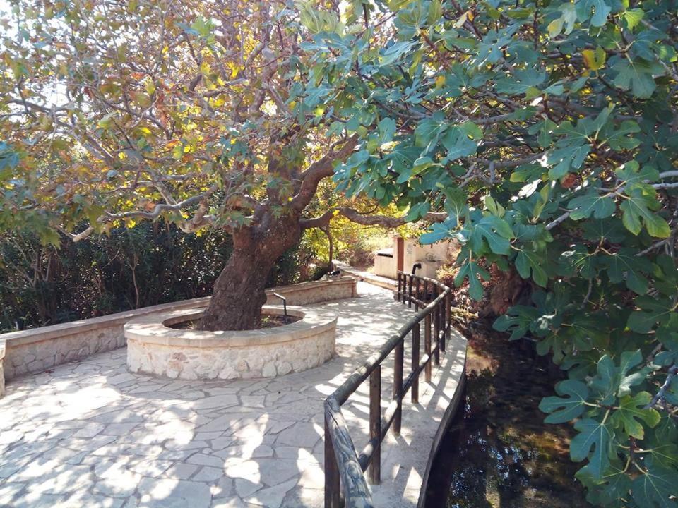 Alkioni Sea View Apartment Káto Zákros Exterior foto