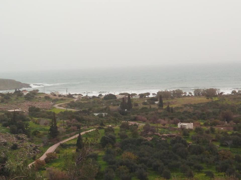 Alkioni Sea View Apartment Káto Zákros Exterior foto