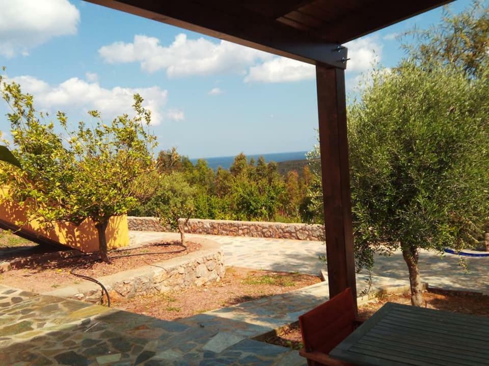 Alkioni Sea View Apartment Káto Zákros Exterior foto